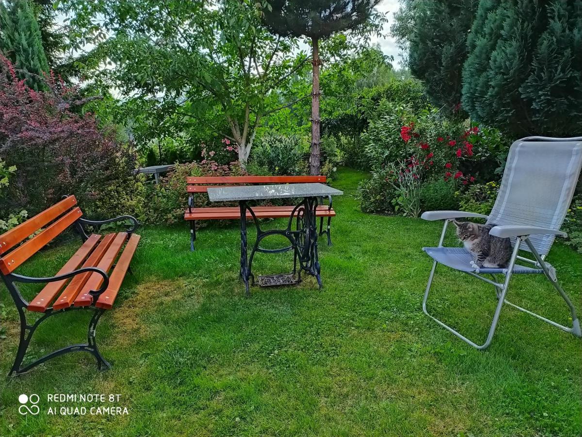 شقة Apartament Radochow 138G Lądek-Zdrój المظهر الخارجي الصورة